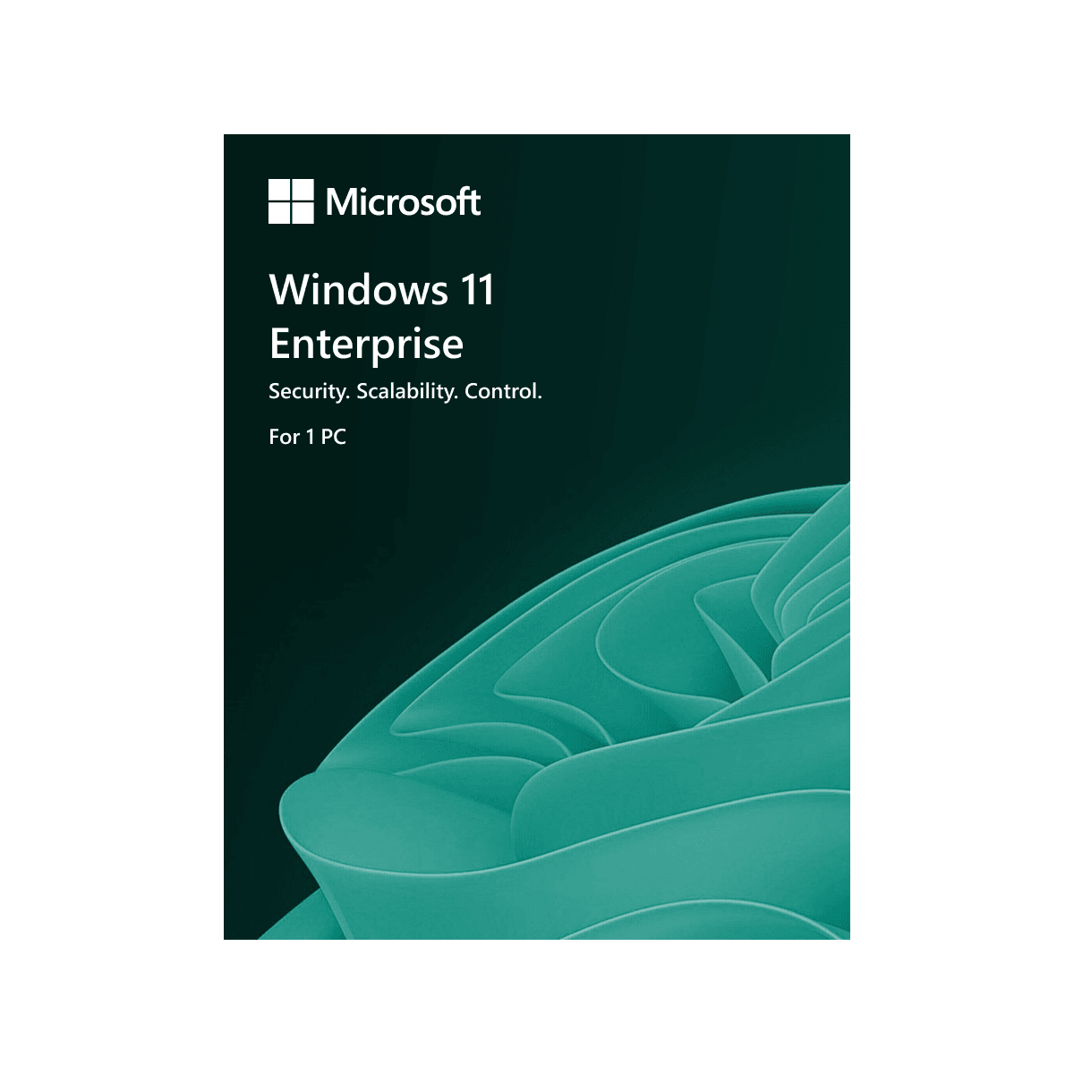 11_pro_enterprise-front